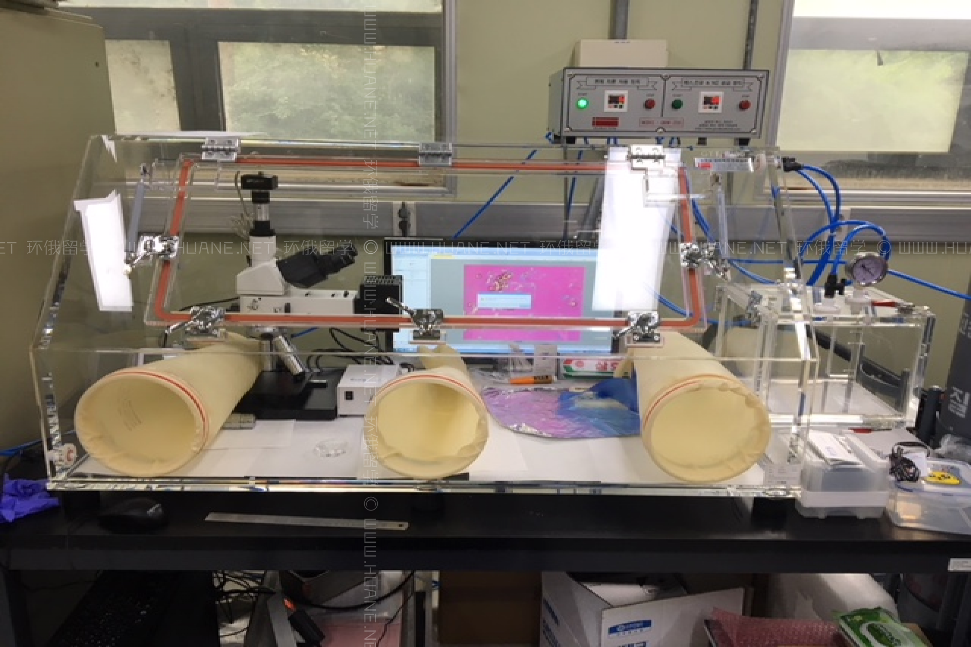 韓國高等科學技術研究院