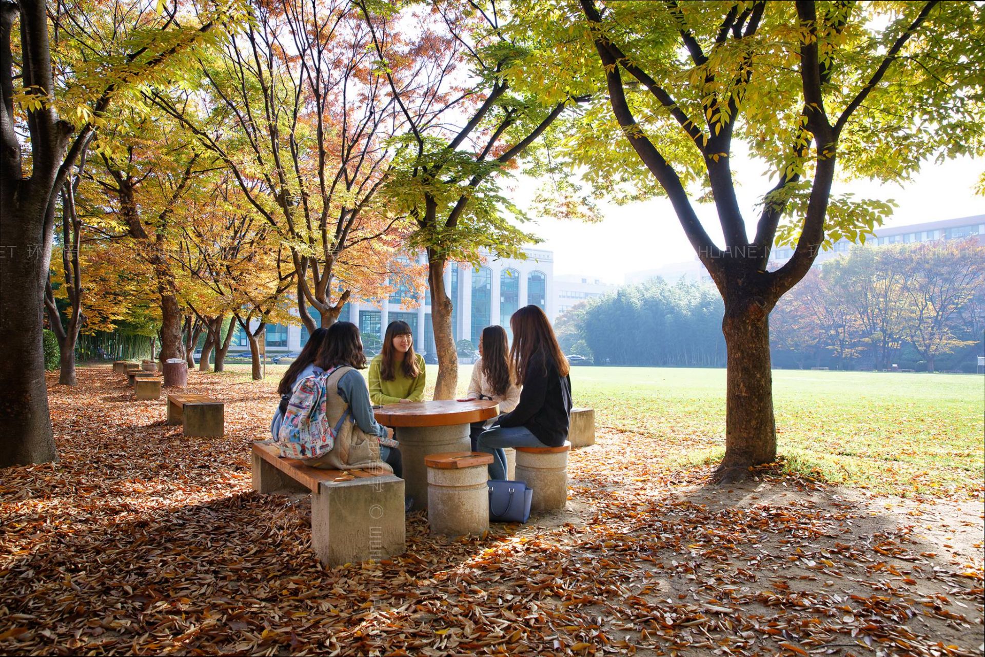 蔚山大學(xué)