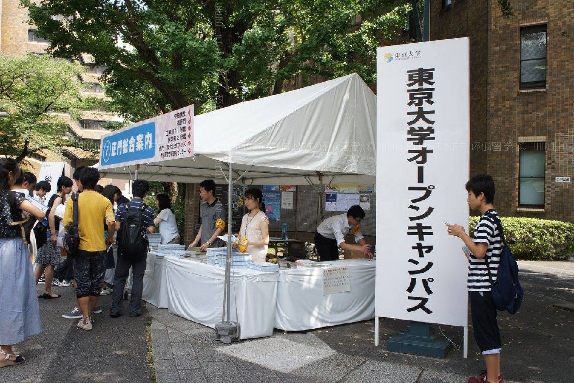 東京大學(xué)