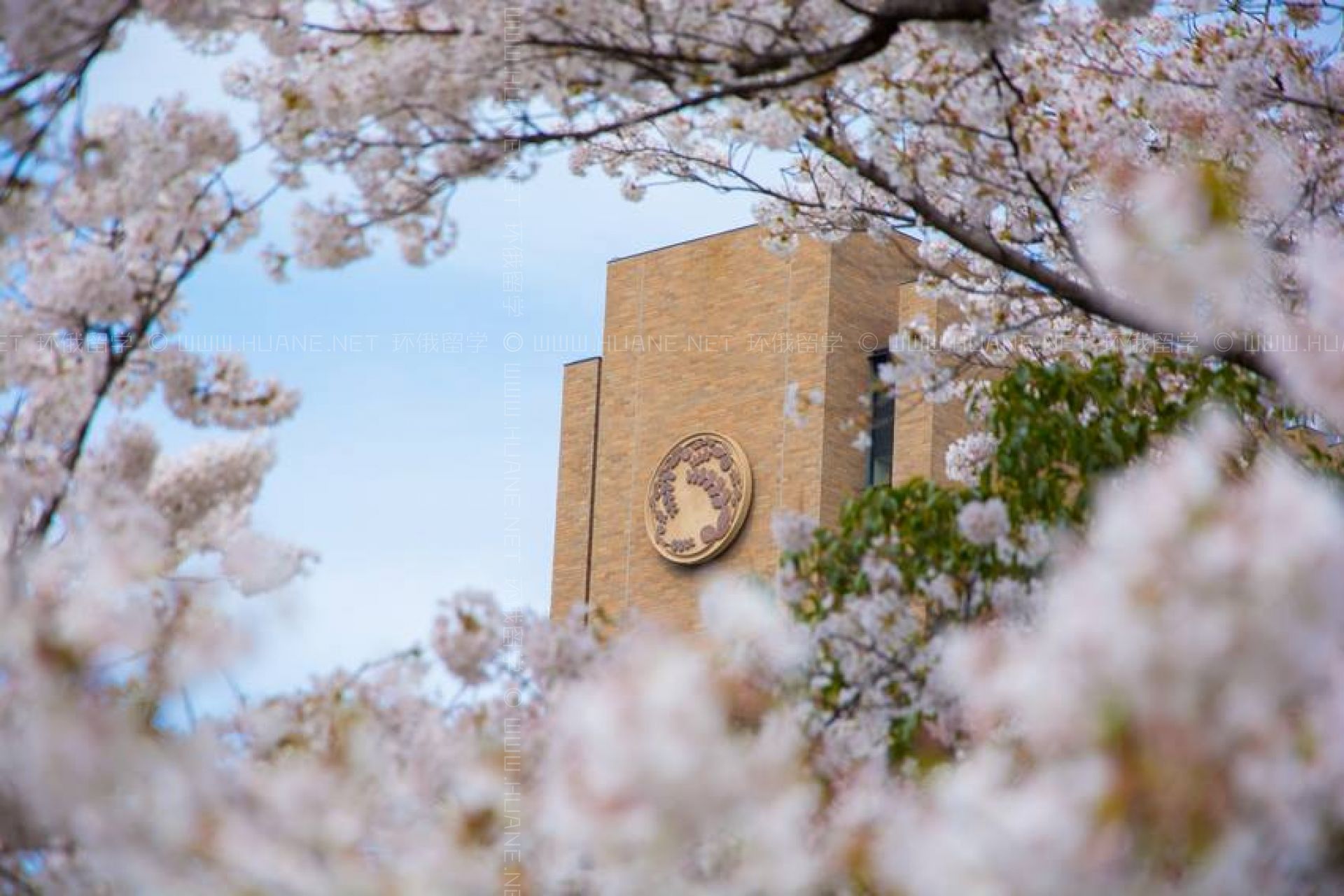 東北大學(xué)