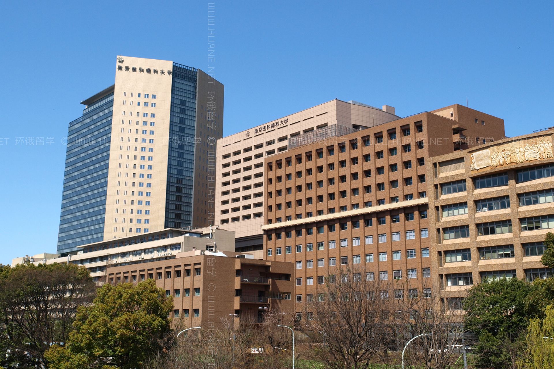 東京醫(yī)科齒科大學(xué)